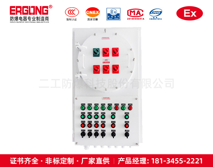 防爆配電箱-10