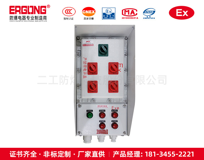 防爆星三角起動(dòng)箱配電箱